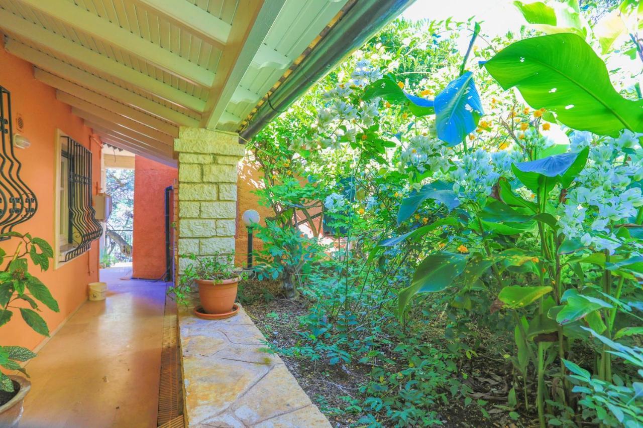 Seaview Calypso Nisaki (Corfu) Exterior foto